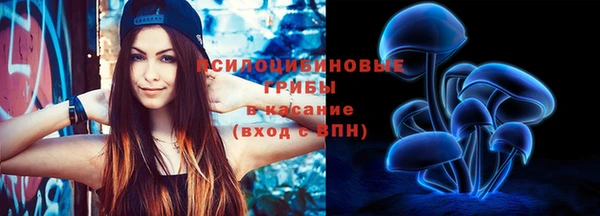 СК Абинск
