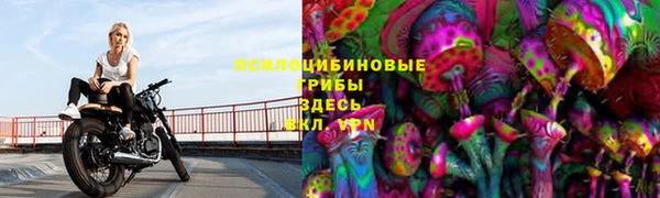a pvp Нефтекумск