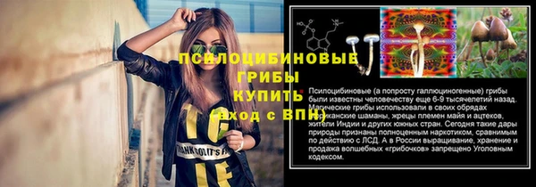 прущие крисы Нефтегорск
